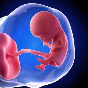 试管婴儿提高胚胎着床率，胚胎移植方式要选对