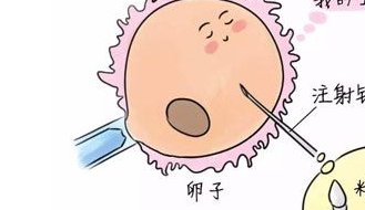 南昌东湖区哪里可以做试管婴儿，南昌东湖区哪里可以做试管婴儿的