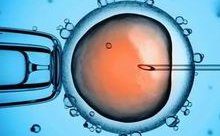 东莞做试管婴儿要多少钱？东莞康华医院试管要多少钱？