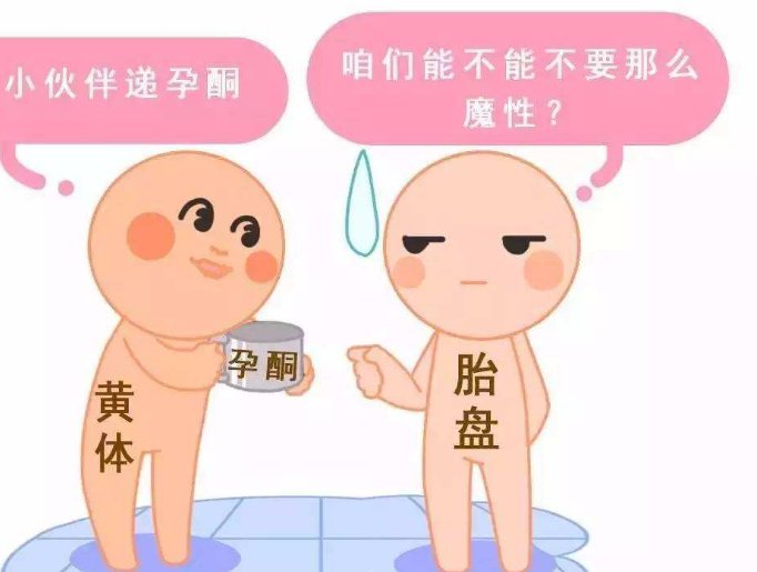 杭州看妇科比较好的医院（杭州看妇科比较好的医院严玮医生）