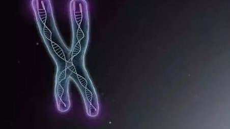 国内做第三代试管助孕婴儿医院排行榜top5优秀资料！广州医科大学附属第三医院好