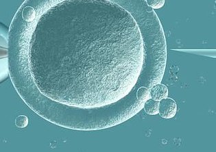 做了结扎手术可以在库尔勒市试管医院做试管婴儿吗？费用是多少